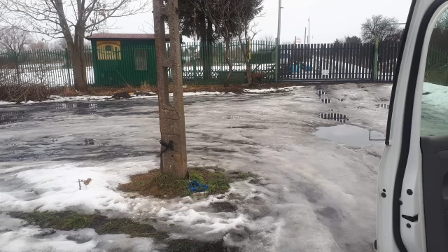 Tczew - Pod osłoną nocy przywiązali psa i odjechali