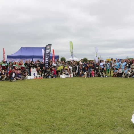 Tczew - Zawody Flyball, czyli wyścig psich sztafet