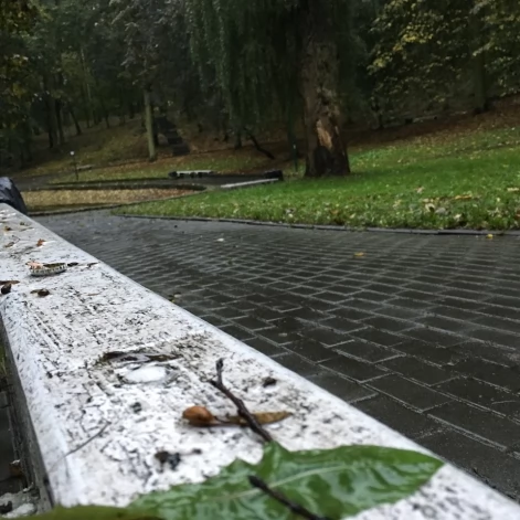 Tczew - Park Miejski jesienią z dnia 7.10.2016