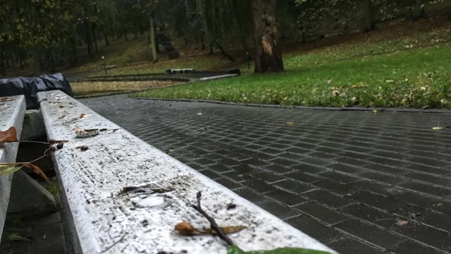 Tczew - Park Miejski jesienią z dnia 7.10.2016