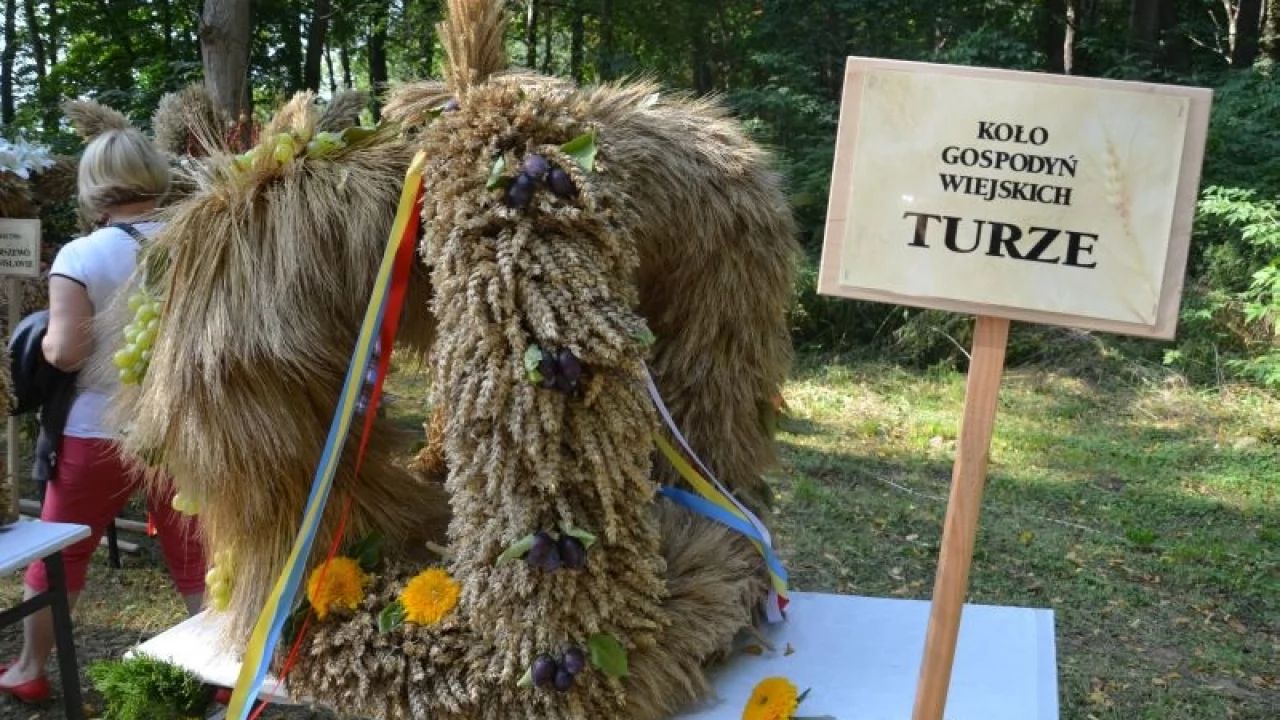 Tczew - Dożynki Gminy Tczew 2014