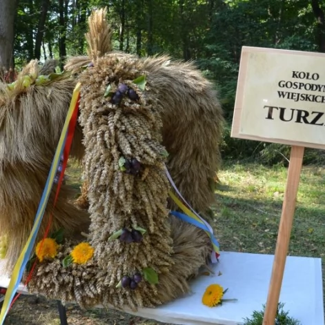 Tczew - Dożynki Gminy Tczew 2014