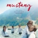 Tczew - Kino Konesera. Mustang
