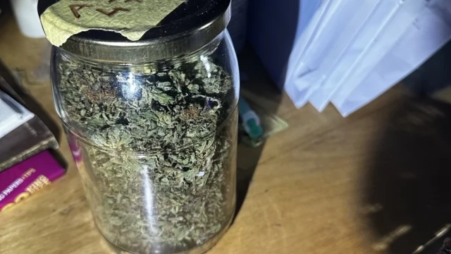 Tczew - Marihuana, haszysz, amfetamina, tabletki MDMA, grzyby halucynogenne w mieszkaniu 40-latka