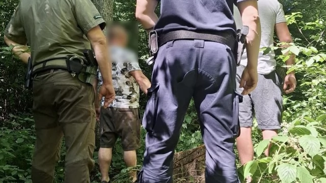 Tczew - Mundurowi ujawnili nielegalną wycinkę drzew