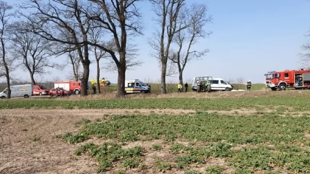 Tczew - Bus wjechał w drzewo. Osiem osób rannych, na miejscu LPR