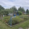 Tczew - Prawa do działki ROD im. Mikołaja Kopernika - Tcze