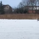 Tczew - Kolejny bocian