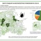 Tczew - Mapa pokąsań kleszczy. Gdzie najwięcej tych groźnych pajęczaków?