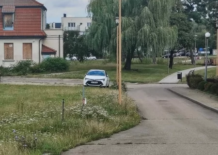 Tczew - Prośba o skoszenie trawy