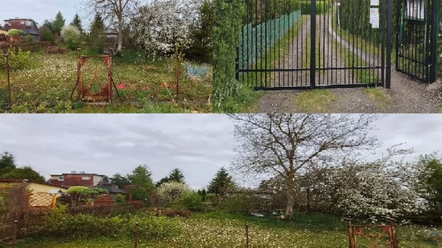 Tczew - ROD na terenie ogródków działkowych nad Wisłą