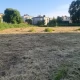 Tczew - Koszenie w Tczewie