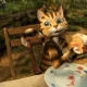 Tczew - Poranek Filmowy - projekcja filmu "Pettson i Findus - mały kłopot, wielka przyjaźń"