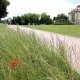 Tczew - Co z tą Jagiellońską?