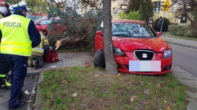 Tczew - Ul. Armii Krajowej. Po zderzeniu z osobówką drzewo spadło na spacerowicza [WIDEO]