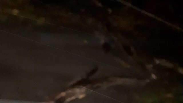 Tczew - Uwaga na silny wiatr