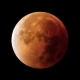 Tczew - Całkowite zaćmienie Księżyca i Mars w bonusie. Nad Wisłą wielka gratka dla miłośników astronomii
