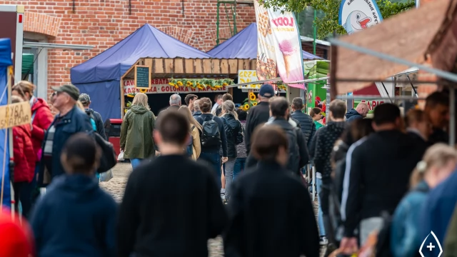 Tczew - Jarmark Cysterski 2022 - 200 stanowisk z historią w tle [FOTO]