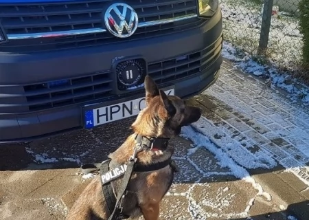 Tczew - Nel wywąchała narkotyki