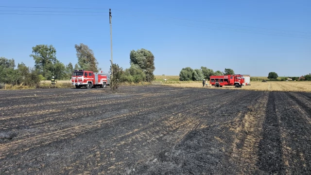 Tczew - Strażacy walczyli z pożarem na polu