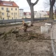 Tczew - Silny wiatr na Pomorzu - połamane drzewa, domy bez prądu 