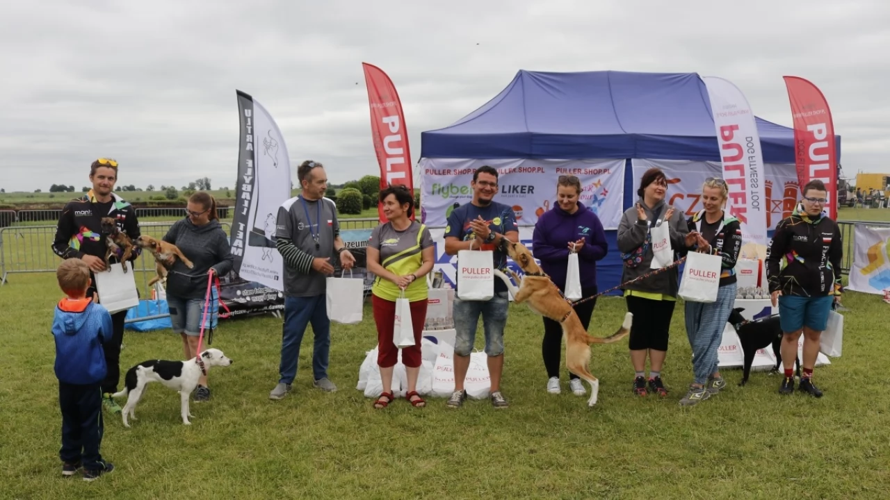 Tczew - Zawody Flyball, czyli wyścig psich sztafet
