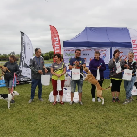 Tczew - Zawody Flyball, czyli wyścig psich sztafet