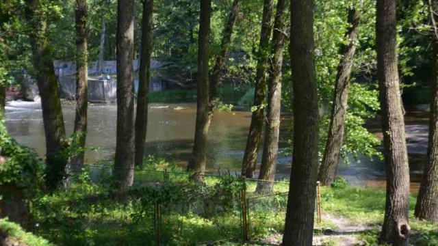 Tczew - Dramatyczna akcja ratunkowa w Pelplinie. Uratowali tonącej życie