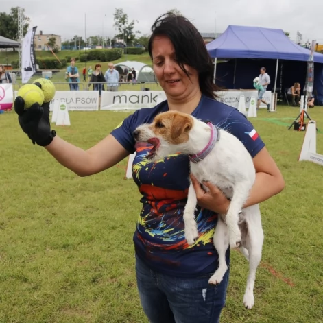 Tczew - Zawody Flyball, czyli wyścig psich sztafet