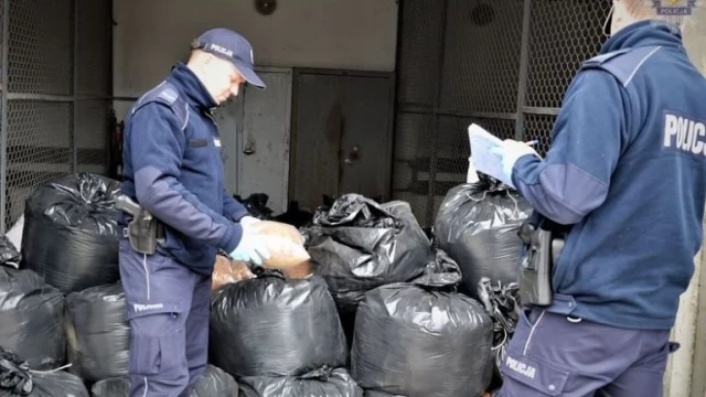 Tczew - 1300 kg krajanki tytoniu bez akcyzy! Budżet mógł stracić nawet milion złotych