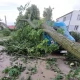 Tczew - Duże straty po nawałnicy w południowej części powiatu tczewskiego