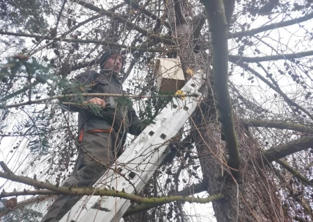 Tczew - Budki lęgowe dla ptaków przy SP4