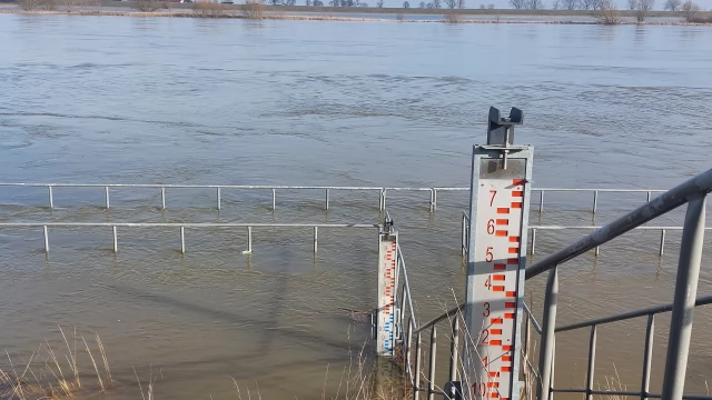 Tczew - Wysoki poziom Wisły - rzeka wylała na łąki po wschodniej stronie
