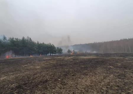 Tczew - Płonął las. Strażacy opanowali sytuację