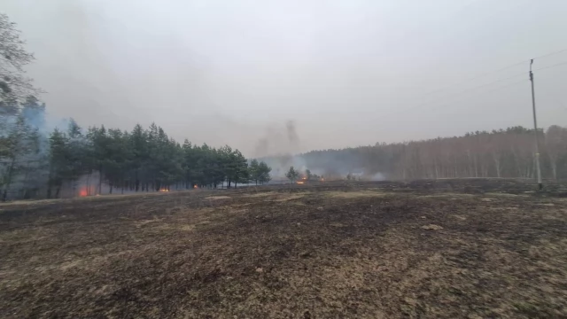 Tczew - Płonął las. Strażacy opanowali sytuację