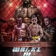 Tczew - TFC III "The Cage. To będzie pierwsza taka gala w historii Tczewa!
