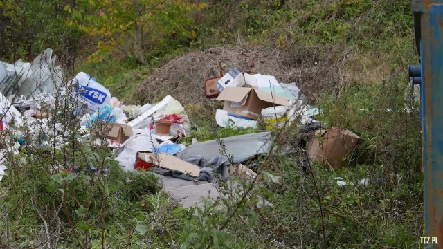 Tczew - NIElegalne wysypisko na Rokitkach? [FOTO] [bez komentarza]