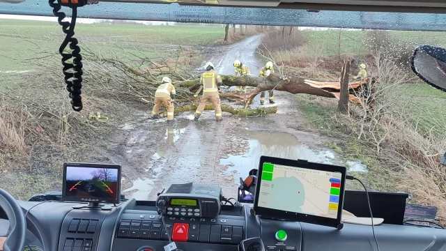 Tczew - Połamane drzewa, odbiorcy bez prądu - wichura w powiecie tczewskim