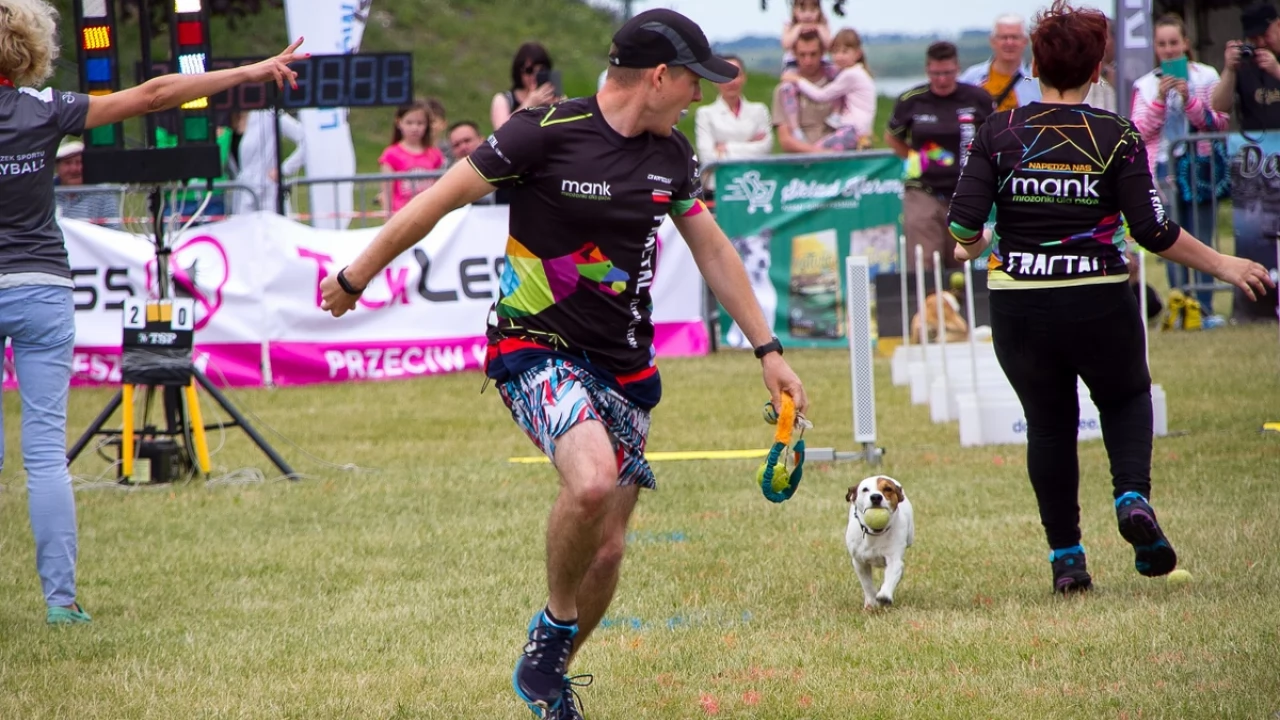 Tczew - Flyball - Wyścigi Psich Sztafet nad Wisłą