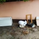 Tczew - "Brudasy... co to za problem zgłosić gabaryty?"