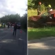Tczew - Wędkowy. Dwie osoby poszkodowane w wypadku