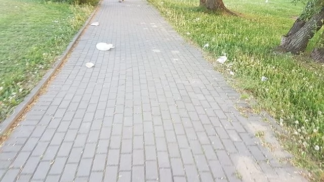 Tczew - Śmieciarstwo przy stawku na osiedlu Bajkowym