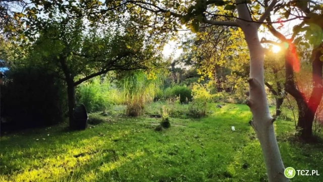 Tczew - Działka ogrodnicza w Tczewie