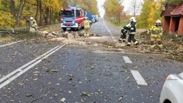 Tczew - Połamane drzewa, uszkodzone dachy - krajobraz po wichurze