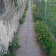 Tczew - Kto powinien sprzątać?