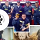 Tczew - Zbiórka dla bezdomnych zwierząt zorganizowana przez Ochotniczą Straż Pożarną w Rokitkach Tczewskich