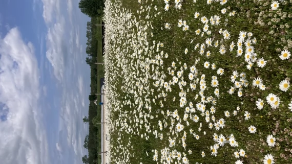 Tczew - Działka Sobącz, Kościerzyna