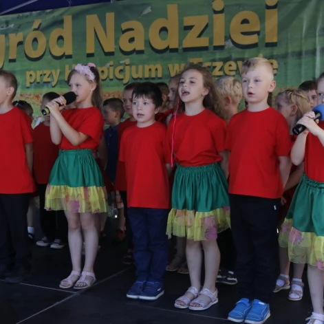 Tczew - XIV Edycja Ogrodów Nadziei - uzbierano ponad 30 tysięcy