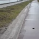 Tczew - Popękana ścieżka rowerowa