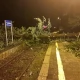 Tczew - Gwałtowna burza na Pomorzu. Tysiące osób bez prądu, powalone drzewa